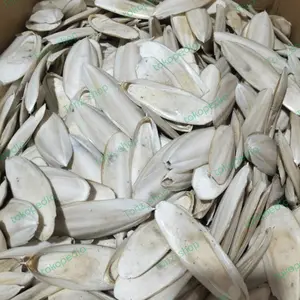 tulang sotong asin sebagai penambah kalsium pungung sotong 250gr makanan burung reptil