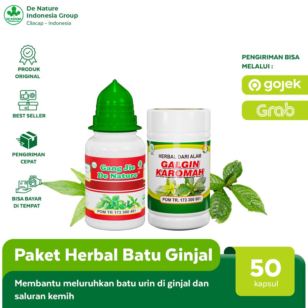 Obat Peluruh Batu Ginjal Urin Kencing Batu Berbusa Pria /wanita Ampuh