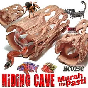 HC025C CHOLA CACTUS HIDING CAVE TEMPAT SEMBUNYI GOA PANJATAN  BERJEMUR REPTILE INSECTA KELABANG KALAJENGKING KELOMANG GECKO TOKEK