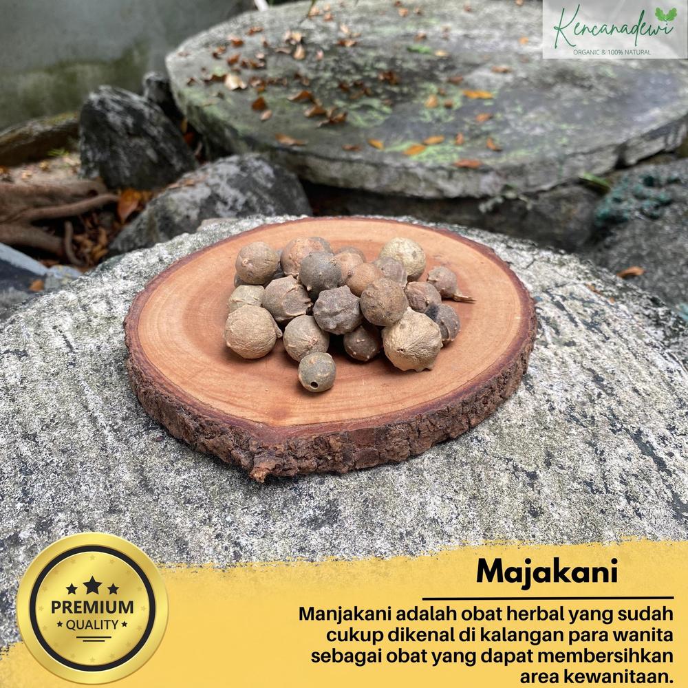 Buah manjakani kering asli -Biji manjakani - Obat keputihan 500gram
