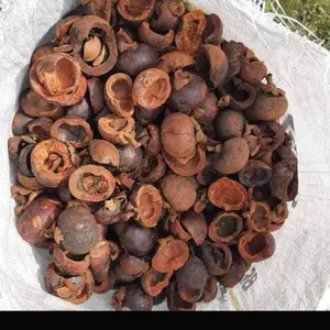 kulit manggis kering murah