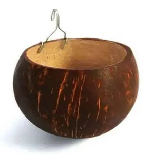 batok tempat makan, minum ayam/ unggas, batok kelapa/cepuk murah