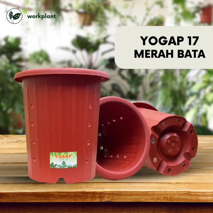 Gambar Pot Yogap (Extra Drainase) - Ukuran 17 Pot Bunga Tanaman Hias Tebal - Merah Bata, 1 pcs dari workplant official Kota Surabaya 5 Tokopedia