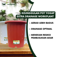 Gambar Pot Yogap (Extra Drainase) - Ukuran 17 Pot Bunga Tanaman Hias Tebal - Merah Bata, 1 pcs dari workplant official Kota Surabaya 3 Tokopedia