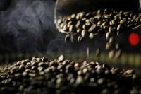 Gambar Ijen Long Orange Bourbon Natural Anaerob dari Kerta Koffie Roastery Kab. Karawang 3 Tokopedia