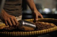 Gambar Ijen Long Orange Bourbon Natural Anaerob dari Kerta Koffie Roastery Kab. Karawang 5 Tokopedia