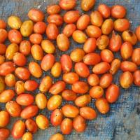 Gambar Ijen Long Orange Bourbon Natural Anaerob dari Kerta Koffie Roastery Kab. Karawang 2 Tokopedia