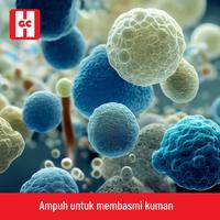 Gambar Pori Klin Karbol Wangi 100ml / Karbol Pembersih Lantai dari HIDEO Kota Semarang 4 Tokopedia