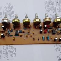 Gambar KIT AMPLI GITAR CRUNCH AMP dari Pe-Pe Store Kab. Brebes 4 Tokopedia