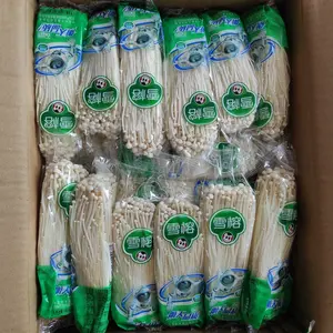 Jamur Enoki Fresh Hijau/ Ungu