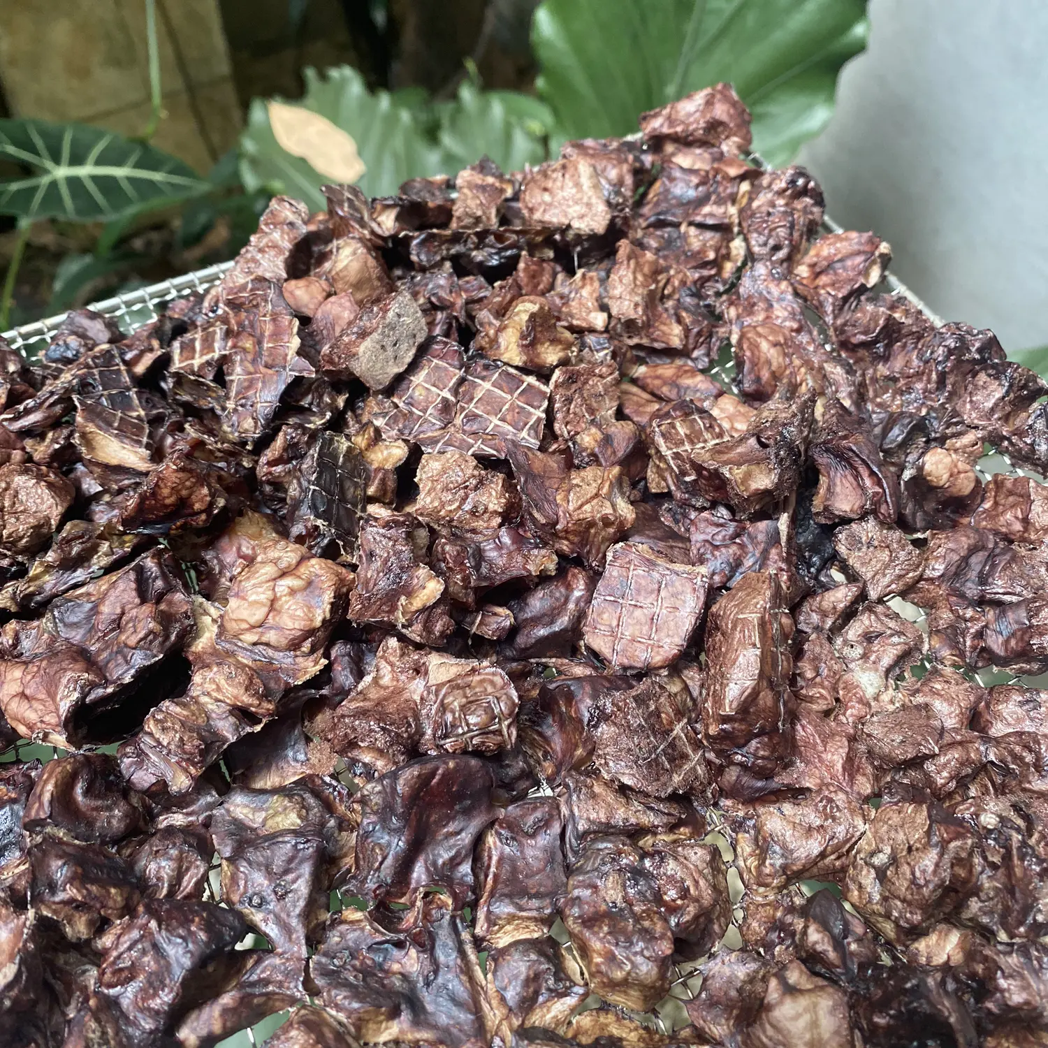 Paru sapi dehydrated berf lungs dog treat cemilan sehat