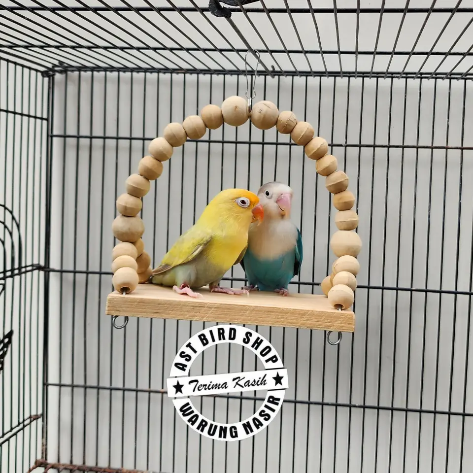 Tenggeran mainan ayunan love bird cockatiel natural