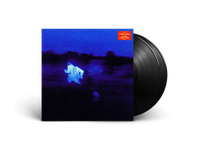 Gambar Daniel Caesar - Never Enough Vinyl dari Universal Music Indonesia Jakarta Barat 1 Tokopedia