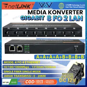 Media Konverter 8 FO 2 LAN 10/100/1000 Gigabit Fiber Optic Converter Netlink