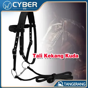 20mm Tali Kekang Kuda PP/Tali Kekang Kepala Kuda Dengan Bantalan Spons