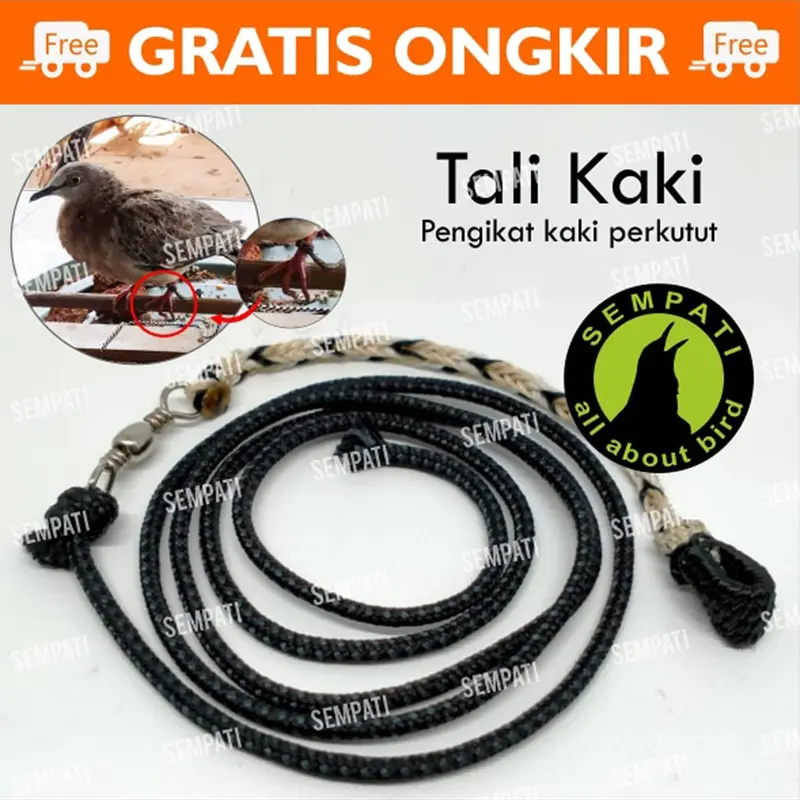 TALI KAKI PERKUTUT TALI KAKI BURUNG PERKUTUT IKAT KAKI TRAINING LATIH 0