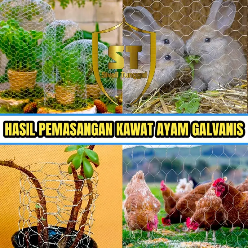 KAWAT AYAM GALVANIS/ CHICKEN WIRE MESH (1/2" INCH) 90CM X 7,5 METER 2