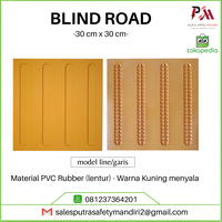 Gambar BLIND ROAD SIDEWALK SAFETY RUBBER PAVING KARET PEMANDU TUNANETRA dari Putra safety mandiri 2 Kota Administrasi Jakarta Utara 2 Tokopedia