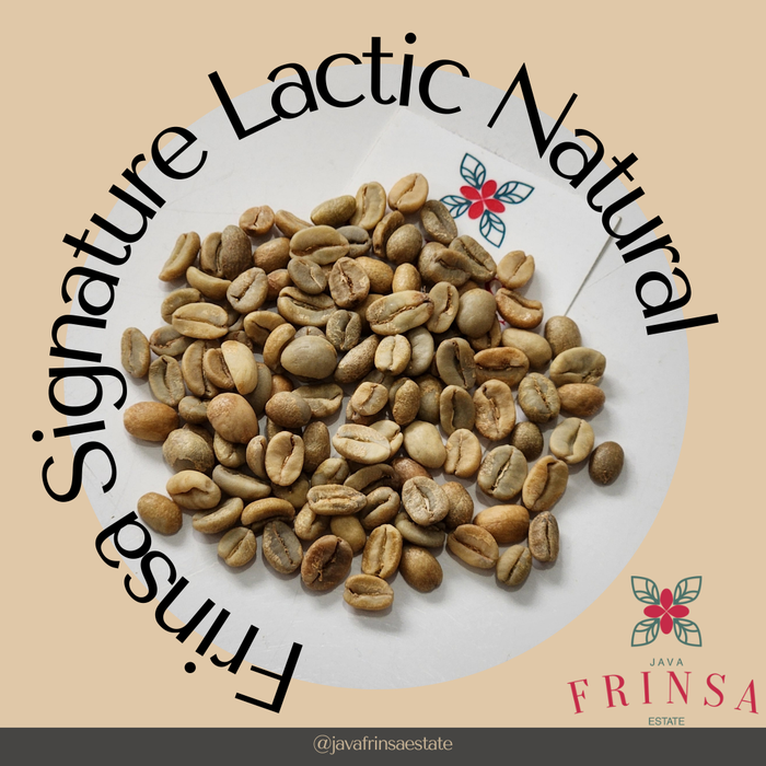 Gambar Greenbean Arabika Frinsa Signature Lactic Natural - Crop 2023 dari Java Frinsa Estate Kab. Bandung Tokopedia