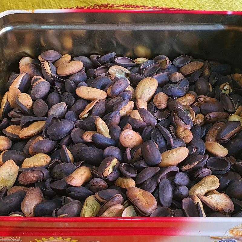 Product Introduction of biji kedawung matang 0
