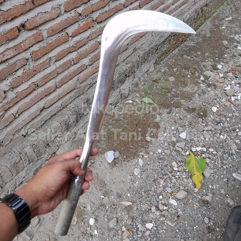 CALOK ANTI COPOT - Shop | Tokopedia
