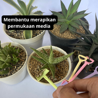 Gambar Sekop Mini 4 Warna - Sekop Tanaman Mini Sekop Hias Dekorasi Tananaman dari workplant official Kota Surabaya 4 Tokopedia