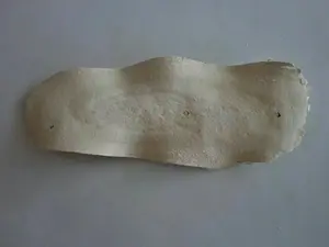 10 GR GRAM GE GEN RADIX PUERARIAE PUERARIA KUDZU LOBED KUDZUVINE ROOT