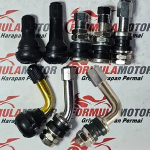 Pentil Tubeless Import ISO9001 (German Standard) Pentil Tubles Motor All Type