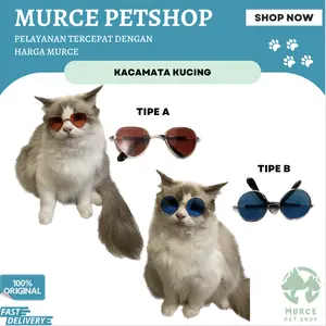 Kacamata Kucing Anjing Lucu Keren Murah