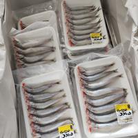 Gambar Shisamo Fish / Ikan Capelin - Besar & Telur Frozen dari MDS Seafood Supplier Kota Administrasi Jakarta Utara 2 Tokopedia