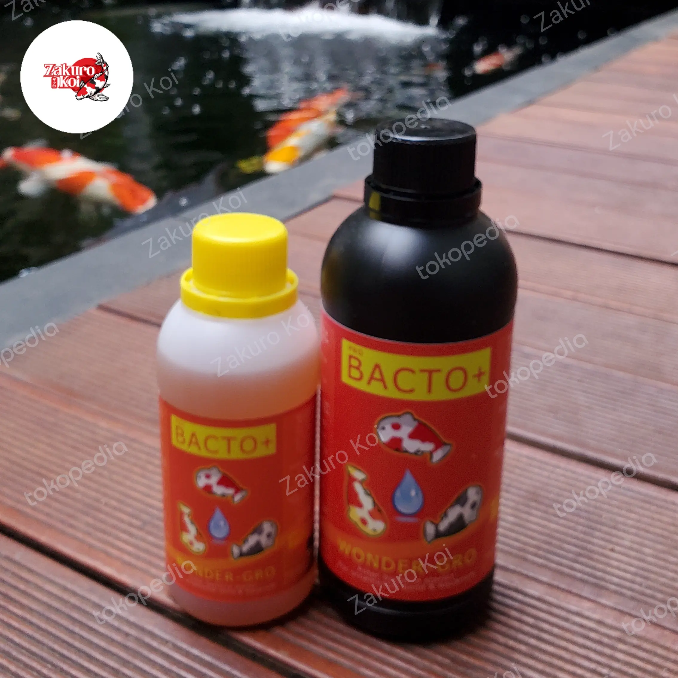Bakteri Starter Bacto+ Wonder Gro