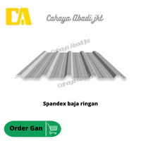 Gambar ATAP BAJA RINGAN / SPANDEX / SPANDEK / TRINDEX 0,3MM dari CAHAYA ABADI JKT Kota Administrasi Jakarta Pusat 3 Tokopedia