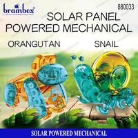 Gambar DIY Solar Powered Mechanical Engineering Mainan Robot Tenaga Surya - Orangutan dari Brainbox Car and Home Kota Batam 1 Tokopedia