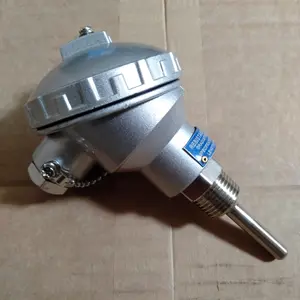 Thermocouple RTD PT100 panjang sensor 50mm