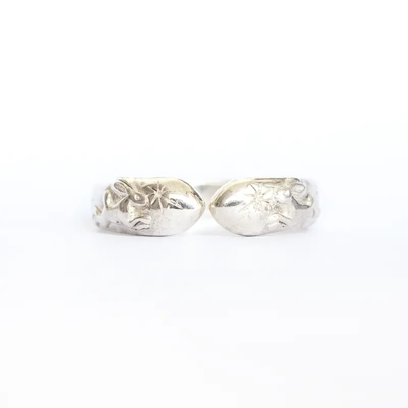 Bumi Ring 2