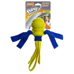 NYLABONE NPLY013P Power Play FLING-A-BOUNCE Large