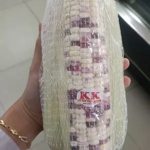 Jagung Ketan Pelangi Isi 3 Pcs / Pack