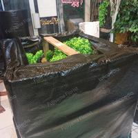 Gambar Packing Kayu Untuk Bonsai Wajib dibeli dari Fujiyama Florist Kab. Tangerang 5 Tokopedia