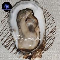 Gambar kerang tiram / oyster fresh / live perkilo dari mahesa king seafood Kota Administrasi Jakarta Utara 3 Tokopedia