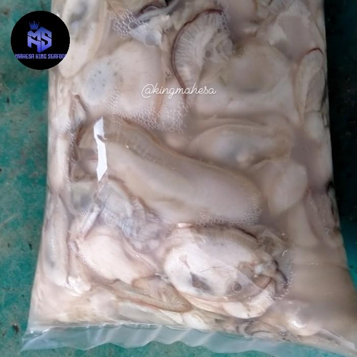 Gambar kerang tiram kupas oyster fresh dari mahesa king seafood Kota Administrasi Jakarta Utara Tokopedia