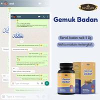 Gambar Obat Penggemuk Badan Penambah Nafsu Makan Herbal Alami Aman Bpom Ori dari Vaniaga Shop Kota Tangerang Selatan 5 Tokopedia