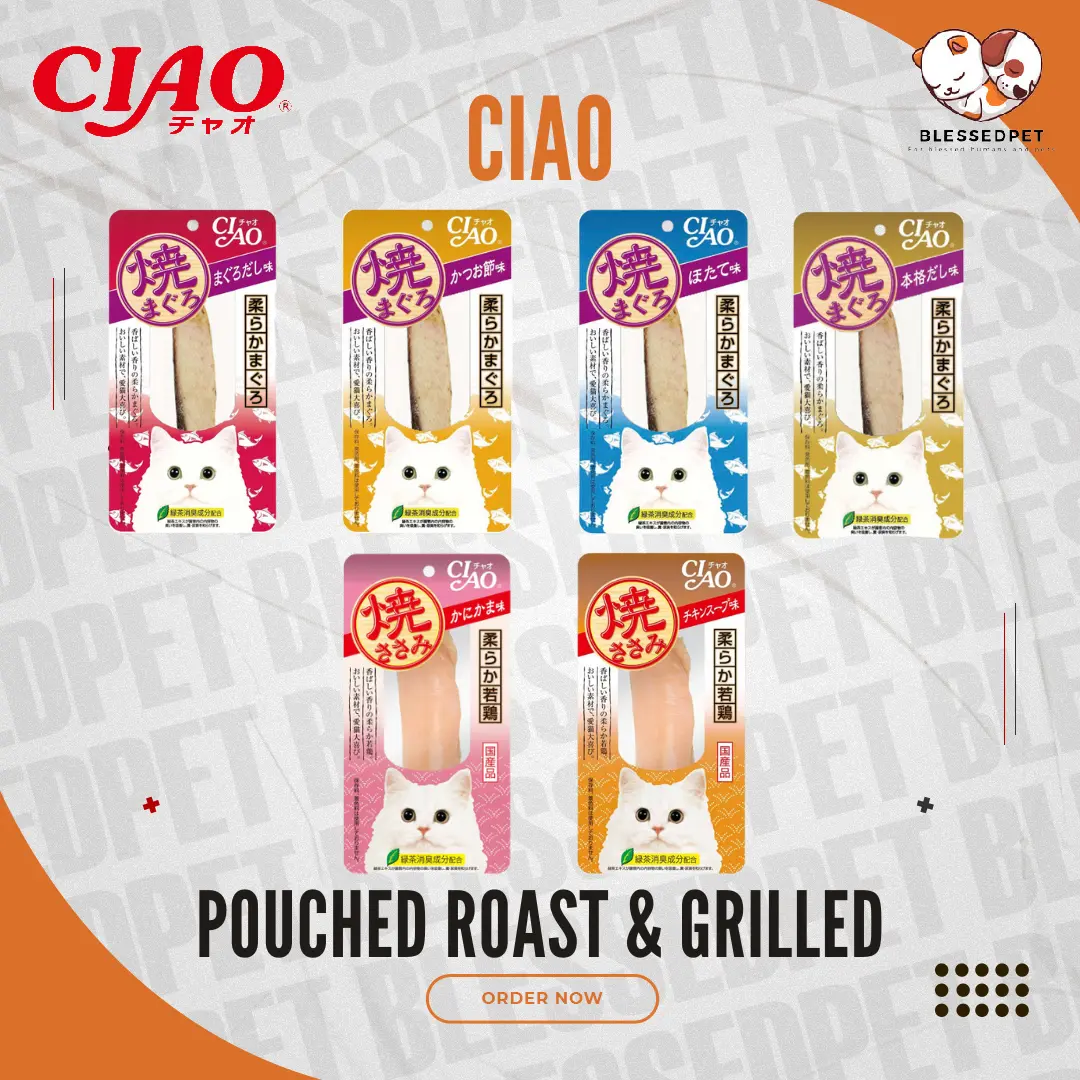 CIAO Cat Pouched Roast 20g / Snack Kucing CIAO Grilled