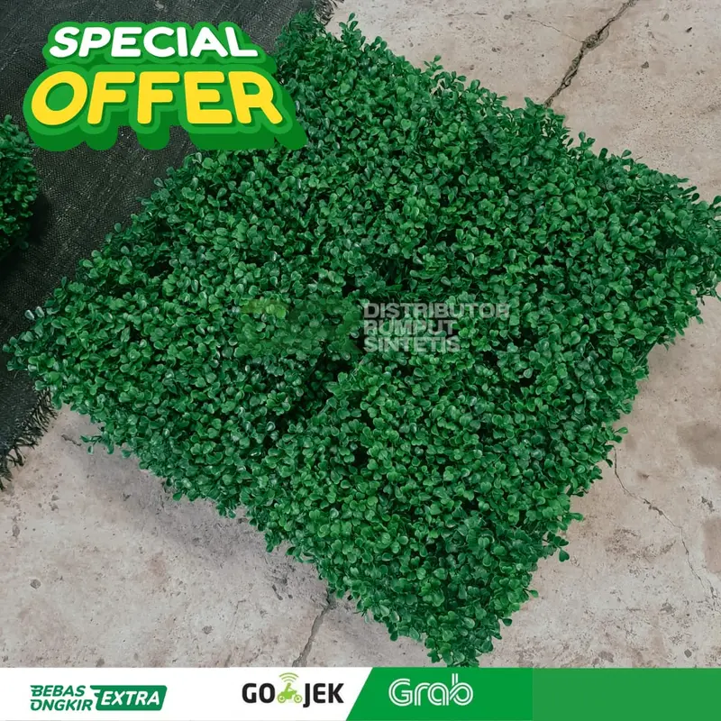 Daun Dollar UK 50x50CM FULL HIJAU - Cocok Untuk Indoor Dan Outdoor 4