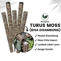 Gambar Workplant - Turus Moss Bisa Disambung Turus Lumut Moss Pole Penyangga Rambatan Tanaman Hias Mudah Disambung Menjaga Kelembaban Lebih Lama - Sambungan Atas dari workplant official Kota Surabaya 1 Tokopedia