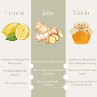 Gambar X'Tragin Lemon Jahe Plus Madu dari Evynafood Kota Administrasi Jakarta Utara 4 Tokopedia