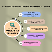 Gambar X'Tragin Jahe Full Cream + Gula Aren Paket 2 Box dari Evynafood Kota Administrasi Jakarta Utara 2 Tokopedia