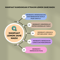 Gambar X'Tragin Lemon Jahe Plus Madu dari Evynafood Kota Administrasi Jakarta Utara 2 Tokopedia