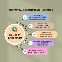 Gambar X'Tragin Jahe Madu | Ginger + Honey | Jahe Rasa Madu dari Evynafood Kota Administrasi Jakarta Utara 2 Tokopedia