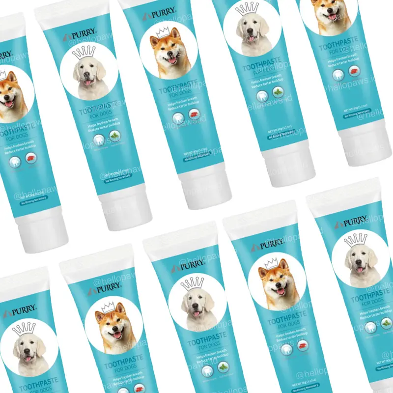 Purry Pet Mint / Beef Toothpaste for Dog - Odol Hewan Anjing 1