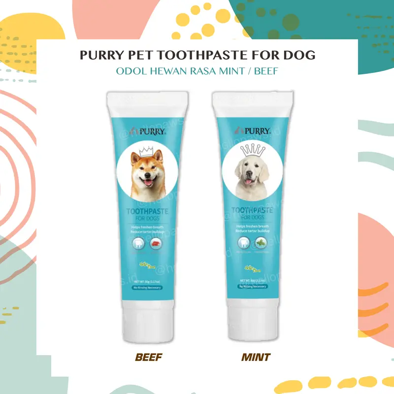 Purry Pet Mint / Beef Toothpaste for Dog - Odol Hewan Anjing 0